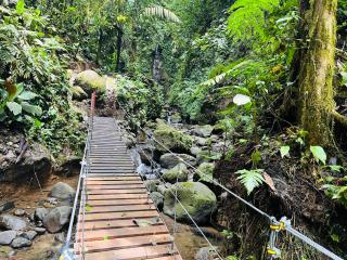 Wellness Park CR - 4