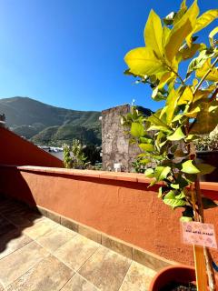 Precioso apartamento con terraza en piso superior - Los Realejos - 7