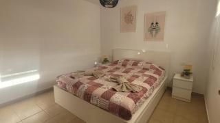 Discover the north of the island of Tenerife - La Laguna - 1