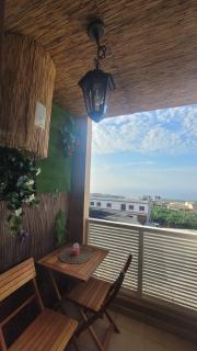 Discover the north of the island of Tenerife - La Laguna - 0