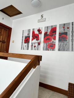 NEBRIJA DERECHA - A Coruña - 1