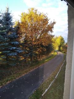 Róże i Jabłonie Agroturystyka - Gryfów Śląski - 4