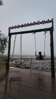 DGD Chiangmai - 1