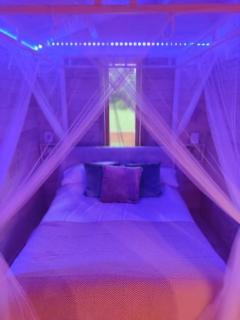Luxury log cabin with wood fired hot tub - Moville - 5