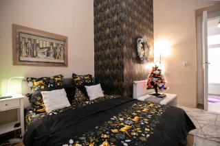 Casa Larisa - Arad - 4