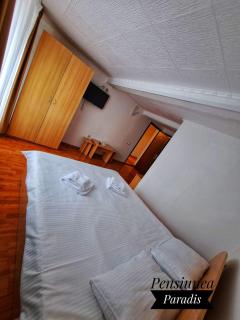 Pensiunea Paradis - Buşteni - 6