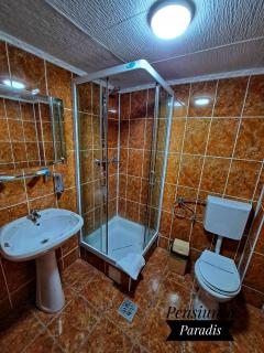 Pensiunea Paradis - Buşteni - 8