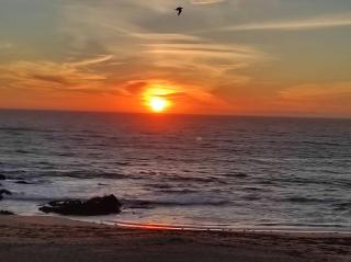 Ocean View - Vila do Conde - 7