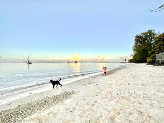 Meri Lodge Huahine XXThe Bee HouseXX - 4