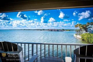 Bliss on the Bay - Tampa - 0