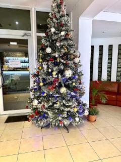 Hotel Riga - Arad - 8
