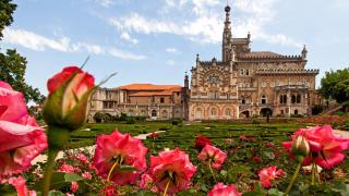 Palace Hotel do Bussaco - Luso - 3