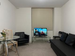 Entire Flat near Kings Cross - Londen - 9