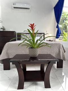 Hotel Serendipity - Tortuguero - 5