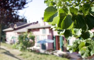 Country House Angelo Blù - Urbania - 6