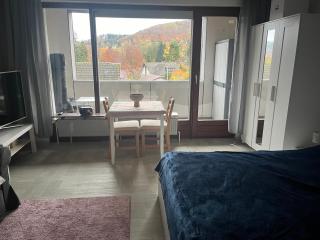 Ferienwohnung Bad Harzburg - Bad Harzburg - 8