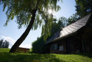 Gregor's Ferienhaus im Wald - Edelschrott - 7