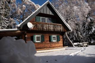 Gregor's Ferienhaus im Wald - 9
