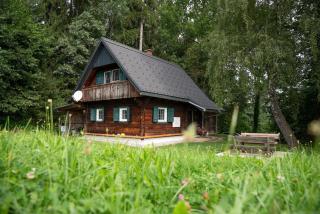 Gregor's Ferienhaus im Wald - Edelschrott - 9
