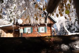 Gregor's Ferienhaus im Wald - 8