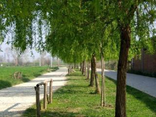 La Casa di Nella - Lastra a Signa - 8