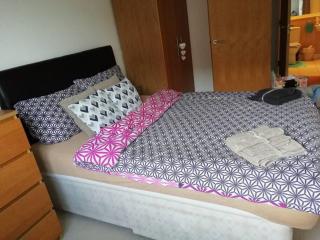 Superhost 1 bedroom flat 15 mins to center,zone 2 - Londra - 6