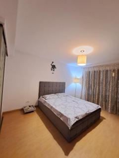 Spacious Home Near Bucharest Garden & Parking - 5