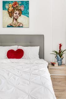 Dodi Blue Apartament - Arad - 2