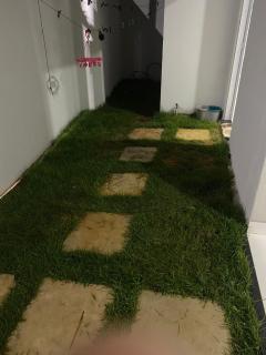 Casa de férias mg - 1