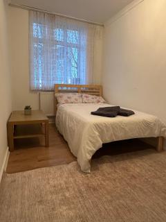 Spacious Private Room in the heart of Dalston, Hackney - Londra - 3