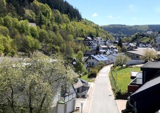 Ferienwohnung Bergzauber 2 (inkl. MeineCardPlus) - Willingen - 3