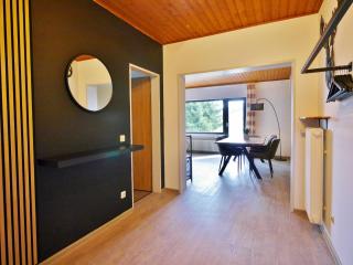 Quartier12 - Ski in & bike out - Fewo HANG & Fewo L!EBE - Willingen - 2