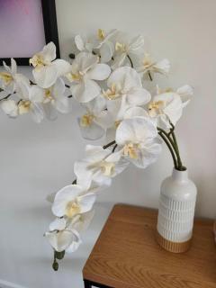 Beautiful home near everything! - 2