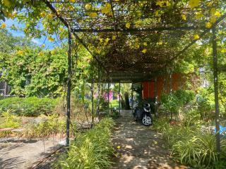 Lana Land Homestay Phu Quoc - Phu Quoc - 3