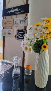 Aparta estudio Colorido - 2