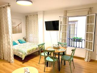 Anas Apartment centro histórico - Málaga - 7