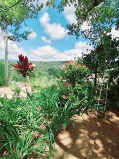 Mountain Paradise Homestay - Bandarawela - 1