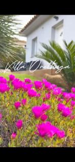 Villa Orethaga Piscine 10 pers porto Vecchio - Porto Vecchio - 8