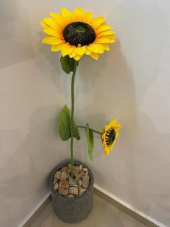 Akpakpa-Deluxe - Cotonou - 6