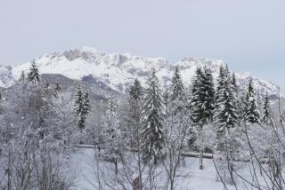 Ferienwohnung Haus Elisabeth, Roßfeldalm - Berchtesgaden - 5