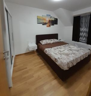 KONAK ViLA MIRKOVIĆ - Sokobanja - 9