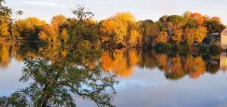 Les berges du Seudo - Labastide-de-Lévis - 8