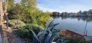 Les berges du Seudo - Labastide-de-Lévis - 7