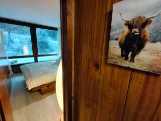 Casa Dolomiti Marilleva 900 - 100m from ski lift - 1