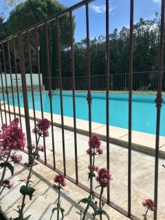 Villa Bastidons des anges - Cavaillon - 9