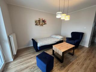 Apartament Rzeszów Solinska - 9