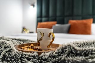 Apartamenty Przełom Białki - plac zabaw, wiata grillowa - Białka Tatrzańska - 2