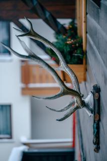 Haus Richard Falch - Sankt Anton am Arlberg - 6