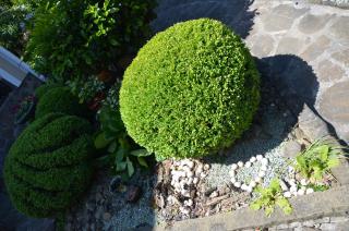 Fachwerk - Jaremtsje - 8