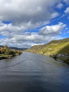 Hotel Krone Riesling - Trittenheim - 1